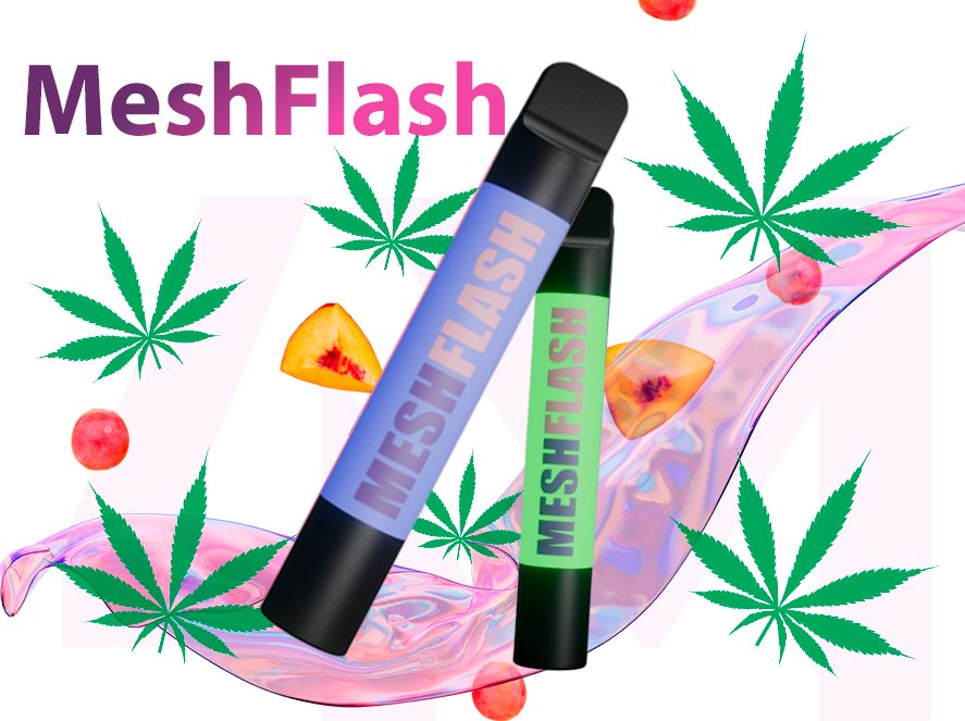 Bild von MeshFlash