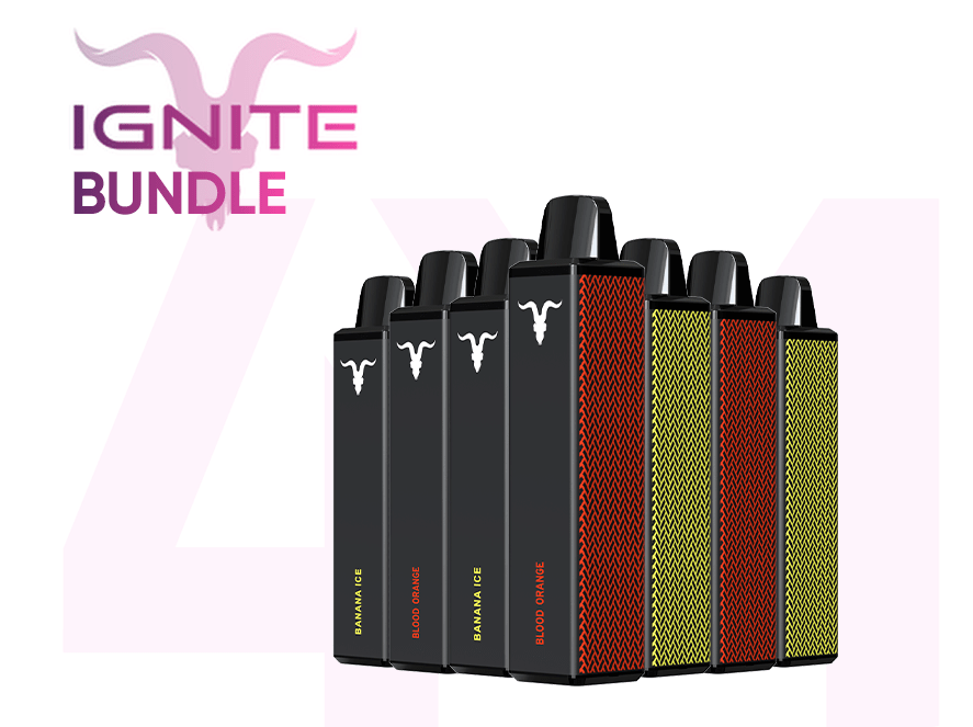 Bundles x3 Ignite - Premium Einweg E-Zigaretten Set mit 600 Zügen